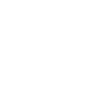 Shuttle icon